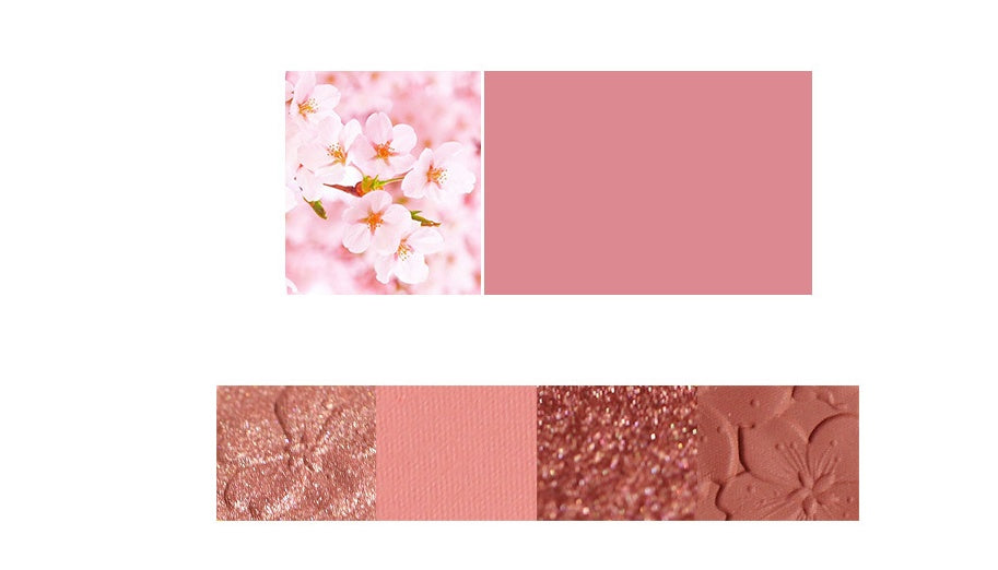 Paleta de sombras NOVO
