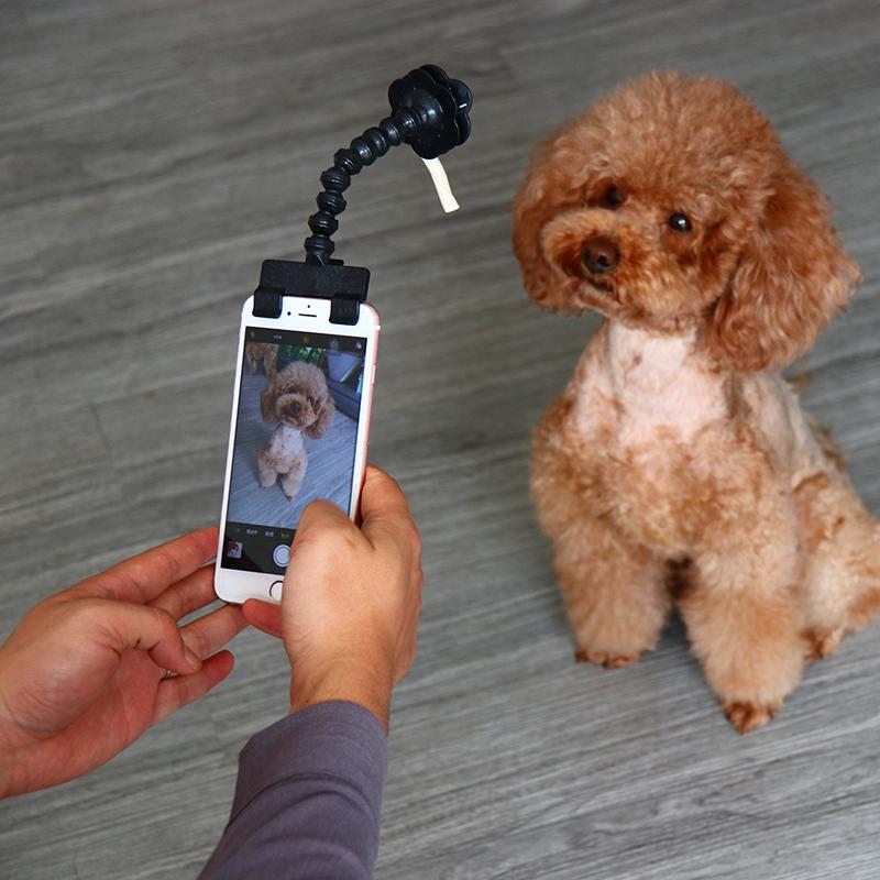 Palo Selfie para Mascotas