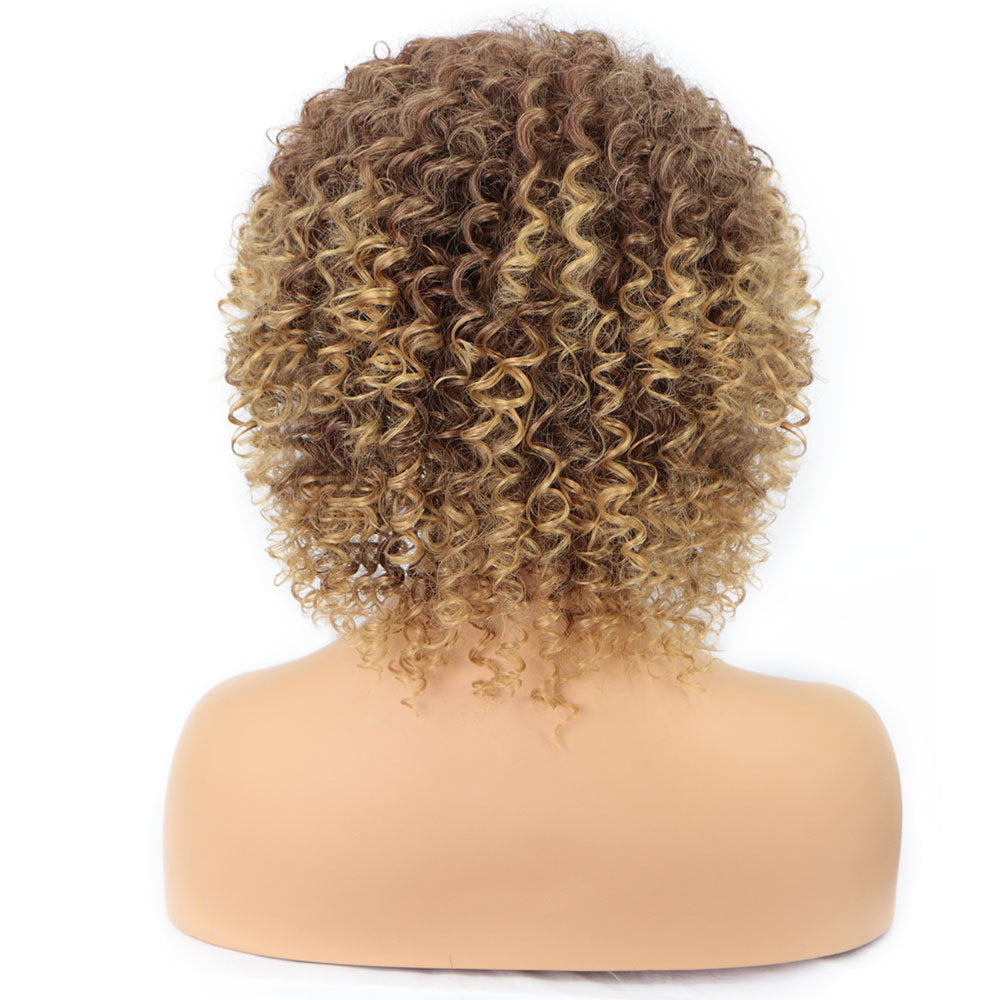 Pelucas Transfronterizas Europeas Y Americanas De Moda Africana Pequeñas Pelucas Rizadas para Mujer Peluca Tocado Cabeza Explosiva Africana