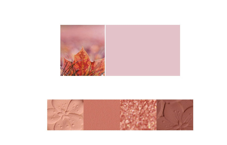 Paleta de sombras NOVO