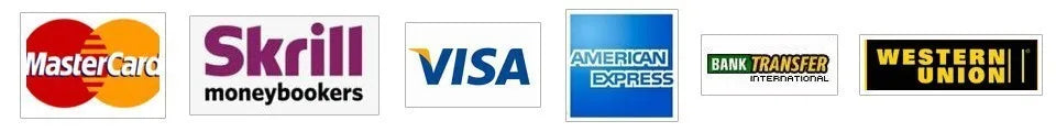 Customized Royal Princess Wedding Dress Satin Ball Gown Lace Long Sleeves Corset V Neck Luxury Bridal Gown Vestido de Novia