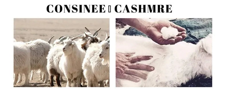 Men's 100% pure Cashmere Sweater High Lapels Pullovers Knitted Wool Winter New Tops Long Sleeve High-End Jumpers