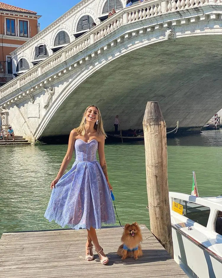 Evening Dress Women Fashion Sexy See Through Lace Embroidery Tube Top Dresses Temperament Socialite Banquet Prom Vestidos 2025
