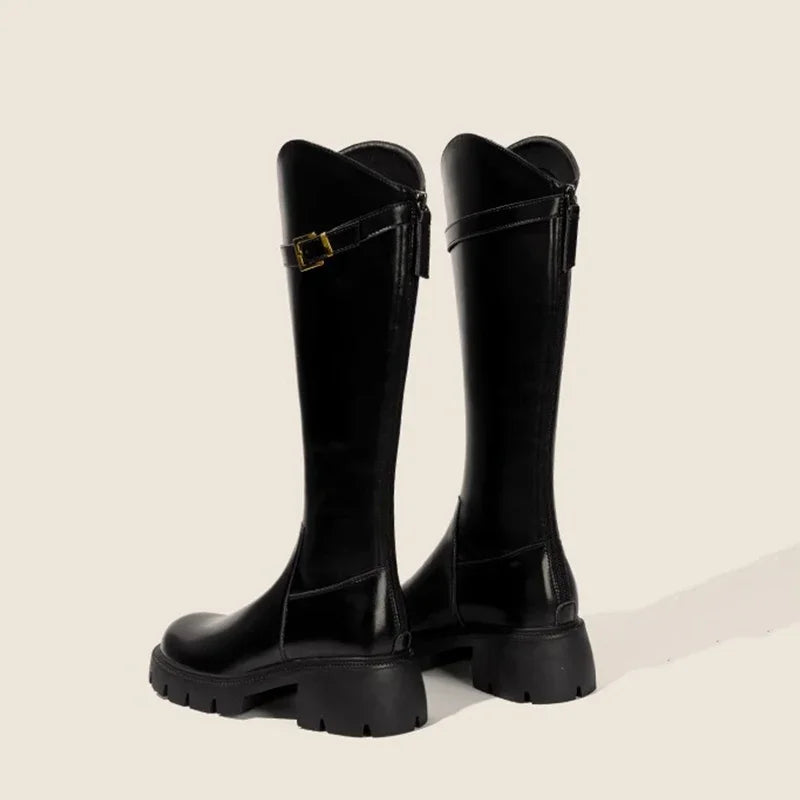 Fur Lining Women Knee High Boots Fashion Knight Long Booties Square High Heels Autumn Winter Warm Short Plush Shoes