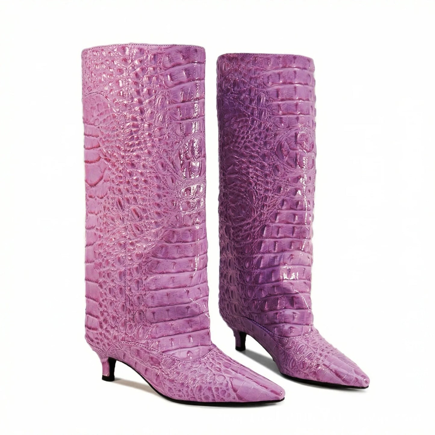 Women's Spring and Autumn New Cat Heel Wide Knee Knee Boots Fashion Pointed Women's Low Heel Mid Heeled Boots