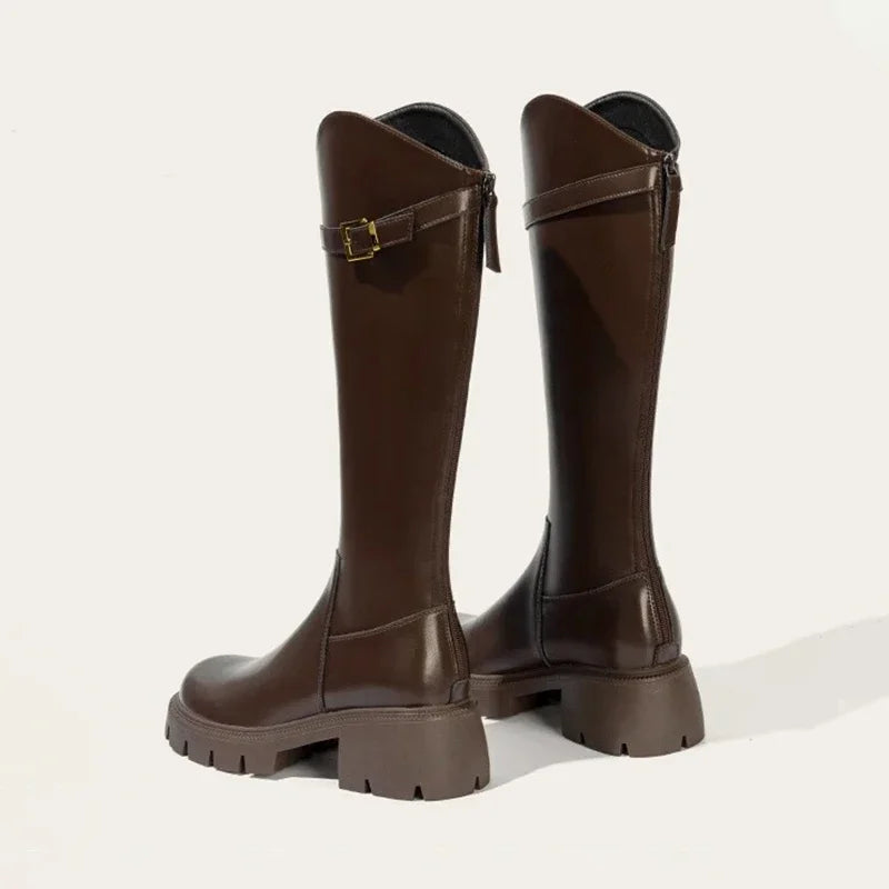 Fur Lining Women Knee High Boots Fashion Knight Long Booties Square High Heels Autumn Winter Warm Short Plush Shoes