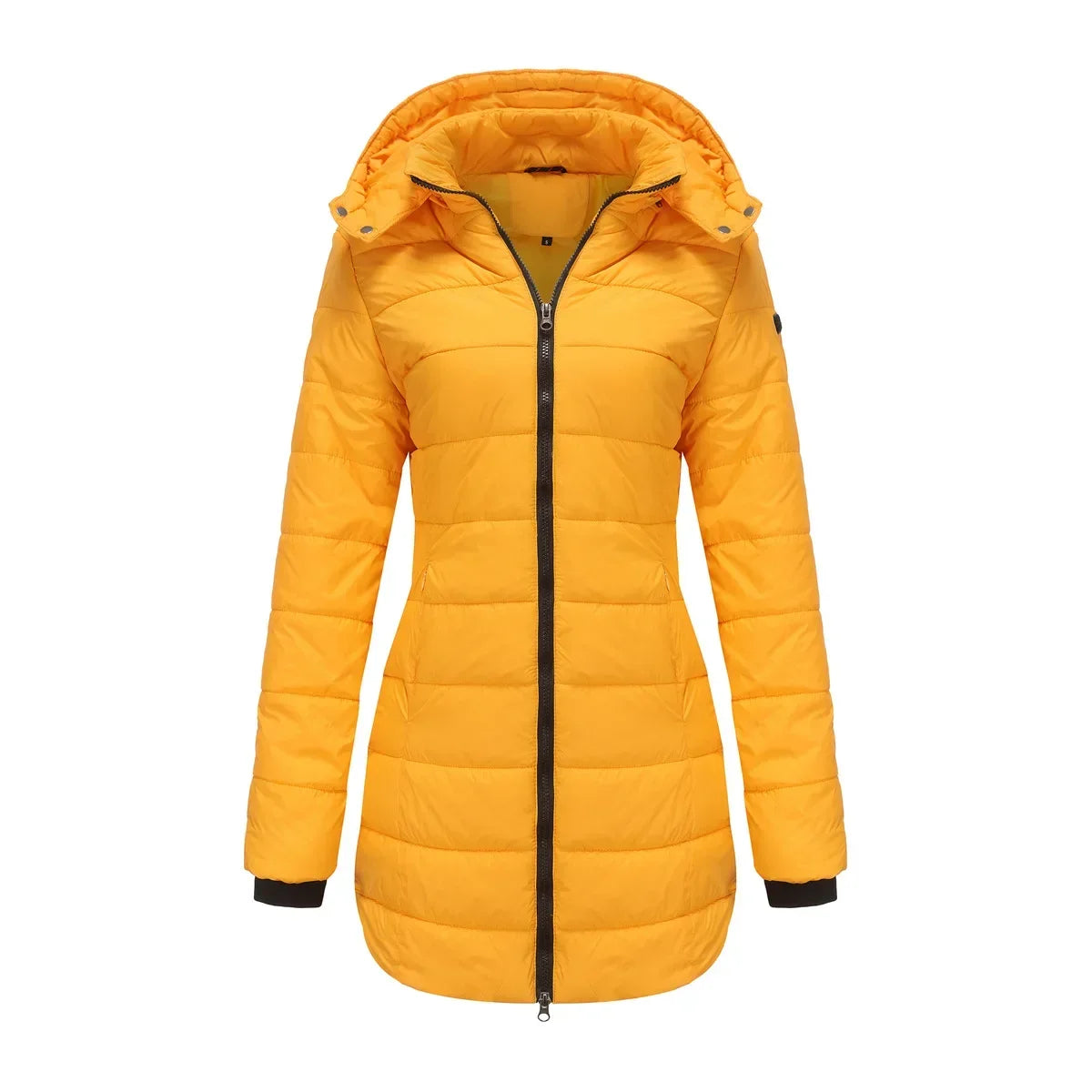 48470946250936|48470946513080|48470946545848|48470946578616|48470946611384|48470946644152|48470946676920