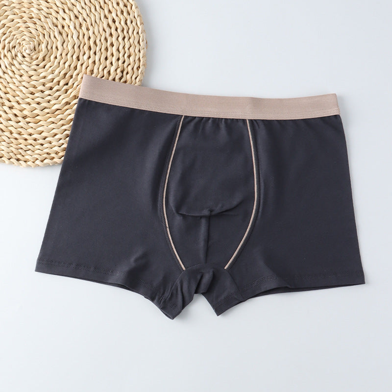 Men's Underwear Men's Boxer Briefs Plus Size Extra Large